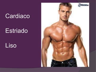 Cardiaco
Estriado
Liso
 