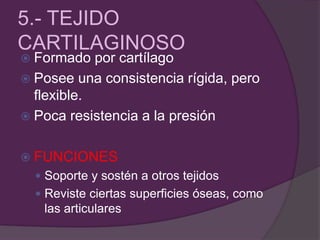 5.- TEJIDO
CARTILAGINOSO
 Formado por cartílago
 Posee una consistencia rígida, pero
flexible.
 Poca resistencia a la presión
 FUNCIONES
 Soporte y sostén a otros tejidos
 Reviste ciertas superficies óseas, como
las articulares
 