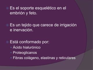  Es el soporte esquelético en el
embrión y feto.
 Es un tejido que carece de irrigación
e inervación.
 Está conformado por:
 Ácido hialurónico
 Proteoglicanos
 Fibras colágeno, elastinas y reticulares
 