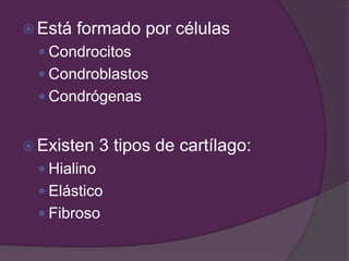  Está formado por células
 Condrocitos
 Condroblastos
 Condrógenas
 Existen 3 tipos de cartílago:
 Hialino
 Elástico
 Fibroso
 