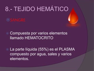 8.- TEJIDO HEMÁTICO
SANGRE
 Compuesta por varios elementos
llamado HEMATOCRITO
 La parte líquida (55%) es el PLASMA
compuesto por agua, sales y varios
elementos.
 