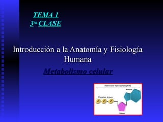 TEMA 1TEMA 1
33rara
CLASECLASE
Introducción a la Anatomía y FisiologíaIntroducción a la Anatomía y Fisiología
HumanaHumana
Metabolismo celularMetabolismo celular
 
