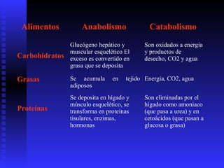Alimentos Anabolismo Catabolismo
Carbohidratos
Glucógeno hepático y
muscular esquelético El
exceso es convertido en
grasa que se deposita
Son oxidados a energía
y productos de
desecho, CO2 y agua
Grasas Se acumula en tejido
adiposos
Energía, CO2, agua
Proteínas
Se deposita en hígado y
músculo esquelético, se
transforma en proteínas
tisulares, enzimas,
hormonas
Son eliminadas por el
hígado como amoniaco
(que pasa a urea) y en
cetoácidos (que pasan a
glucosa o grasa)
 