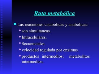 Ruta metabólicaRuta metabólica
 Las reacciones catabólicas y anabólicasLas reacciones catabólicas y anabólicas::
 sonson simultaneasimultaneas.s.
 Intracelulares.Intracelulares.
 Secuenciales.Secuenciales.
 velocidad reguladavelocidad regulada porpor enzimas.enzimas.
 productos intermediosproductos intermedios:: metabolitometabolitoss
intermediointermedioss..
 
