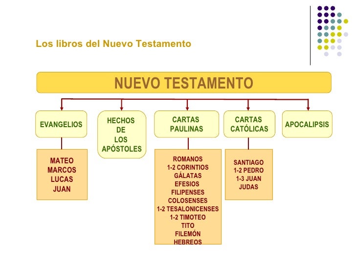 3 tema 3 nuevo testamento