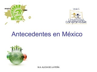Antecedentes en México



        M.A. ALICIA DE LA PEÑA
 