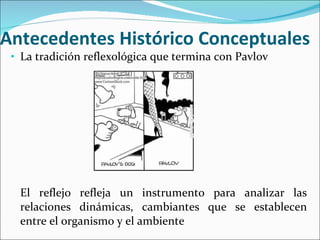 Antecedentes Histórico Conceptuales La tradición reflexológica que termina con Pavlov El reflejo refleja un instrumento para analizar las relaciones dinámicas, cambiantes que se establecen entre el organismo y el ambiente 