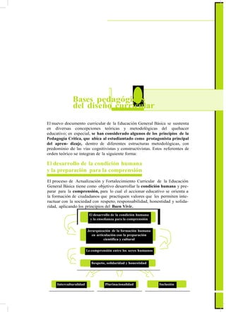 ActualizaciónyFortalecimientoCurriculardelaEducaciónGeneralBásica2010
3 Bases pedagógicas
del diseño curricular
El nuevo documento curricular de la Educación General Básica se sustenta
en diversas concepciones teóricas y metodológicas del quehacer
educativo; en especial, se han considerado algunos de los principios de la
Pedagogía Crítica, que ubica al estudiantado como protagonista principal
del apren- dizaje, dentro de diferentes estructuras metodológicas, con
predominio de las vías cognitivistas y constructivistas. Estos referentes de
orden teórico se integran de la siguiente forma:
El desarrollo de la condición humana
y la preparación para la comprensión
El proceso de Actualización y Fortalecimiento Curricular de la Educación
General Básica tiene como objetivo desarrollar la condición humana y pre-
parar para la comprensión, para lo cual el accionar educativo se orienta a
la formación de ciudadanos que practiquen valores que les permiten inte-
ractuar con la sociedad con respeto, responsabilidad, honestidad y solida-
ridad, aplicando los principios del Buen Vivir.
El desarrollo de la condición humana
y la enseñanza para la comprensión
Jerarquización de la formación humana
en articulación con la preparación
científica y cultural
La comprensión entre los seres humanos
Respeto, solidaridad y honestidad
Interculturalidad Plurinacionalidad Inclusión
9
 