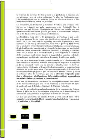 ActualizaciónyFortalecimientoCurriculardelaEducaciónGeneralBásica2010
la extinción de especies de flora y fauna, y la pérdida de la tradición oral
son ejemplos claros de estos problemas. Por ello, las fundamentaciones
y los conocimientos que se impartan deben ser efectivos frente a la falta
de referencialidad que tienen los escolares.
Las costumbres, las tradiciones y las formas de vida de una sociedad cons-
tituyen un referente que debe reconocerse y ser fortalecido bajo la
orienta- ción del docente. El propósito es obtener una mirada con más
apertura del entorno natural y social que invite al estudiantado a recrearlo
con el fin de encontrar y consolidar la información.
La identidad se logra a través del conocimiento profundo de lo que identi-
fica a una persona, de sus rasgos más significativos, atendiendo a la perte-
nencia; en el caso específico de segundo y tercer año, la pertenencia a una
localidad y a un país, y a la diversidad en la cual se puede y debe encon-
trar la unidad. Es primordial apreciar la diversidad para promover el diálogo
desde la diferencia, identificando y valorando la riqueza de sus particulari-
dades en cuanto a la memoria, la historia, la cultura, el trabajo y la vida coti-
diana. Así, la mirada de la realidad natural y social supondrá la valoración
de lo construido y, al mismo tiempo, la necesidad de cambiar realidades
que deben ser modificadas y atender a demandas de diferente índole.
Por otra parte, constituye un componente esencial en el planteamiento de
este currículo el rescate de procesos metodológicos propios de la enseñan-
za de los Estudios Sociales y de las Ciencias Naturales, como son la obser-
vación directa e indirecta, la descripción, la comparación, la narración, la re-
presentación gráfica, entre otros. Estos procesos permitirán el desarrollo de
las macrodestrezas propuestas para el estudio de Entorno Natural y Social
en estos dos años de escolaridad que son: la ubicación temporal y espa-
cial, la obtención y clasificación de información mediante percepciones
sensoriales, la interpretación y la comunicación.
Cada una de las destrezas con criterio de desempeño tributa a una o varia
de las macrodestrezas, que a su vez se orientan a la consecución del perfil
de salida del área de Estudios Sociales y de Ciencias Naturales.
Los ejes del aprendizaje articulan el propósito de la enseñanza de Entorno
Natural y Social, es decir, dan sentido a la organización de contenidos y en-
caminan los conocimientos a la práctica de la vida en sociedad.
Los ejes del aprendizaje en Entorno Natural y Social son: el buen vivir o
sumak kawsay, la identidad local y ecuatoriana, la ciudadanía responsable
y la unidad en la diversidad.
El buen vivir
La identidad
Estudio del Entorno
Natural y Social
La unidad
en la diversidad
La ciudadanía
responsable
76
 