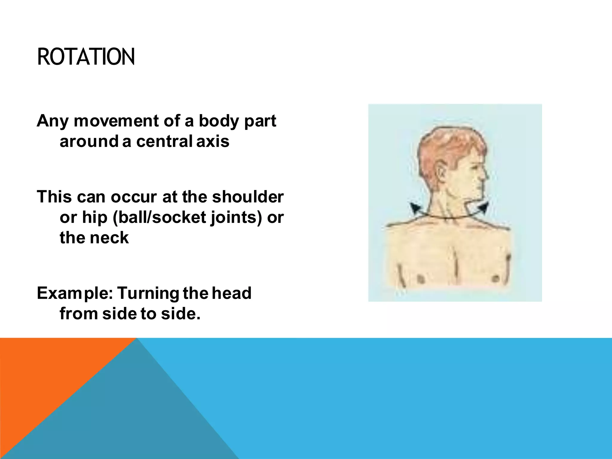 Terminology of movement in anatomy, flexion extension hyperextension ...