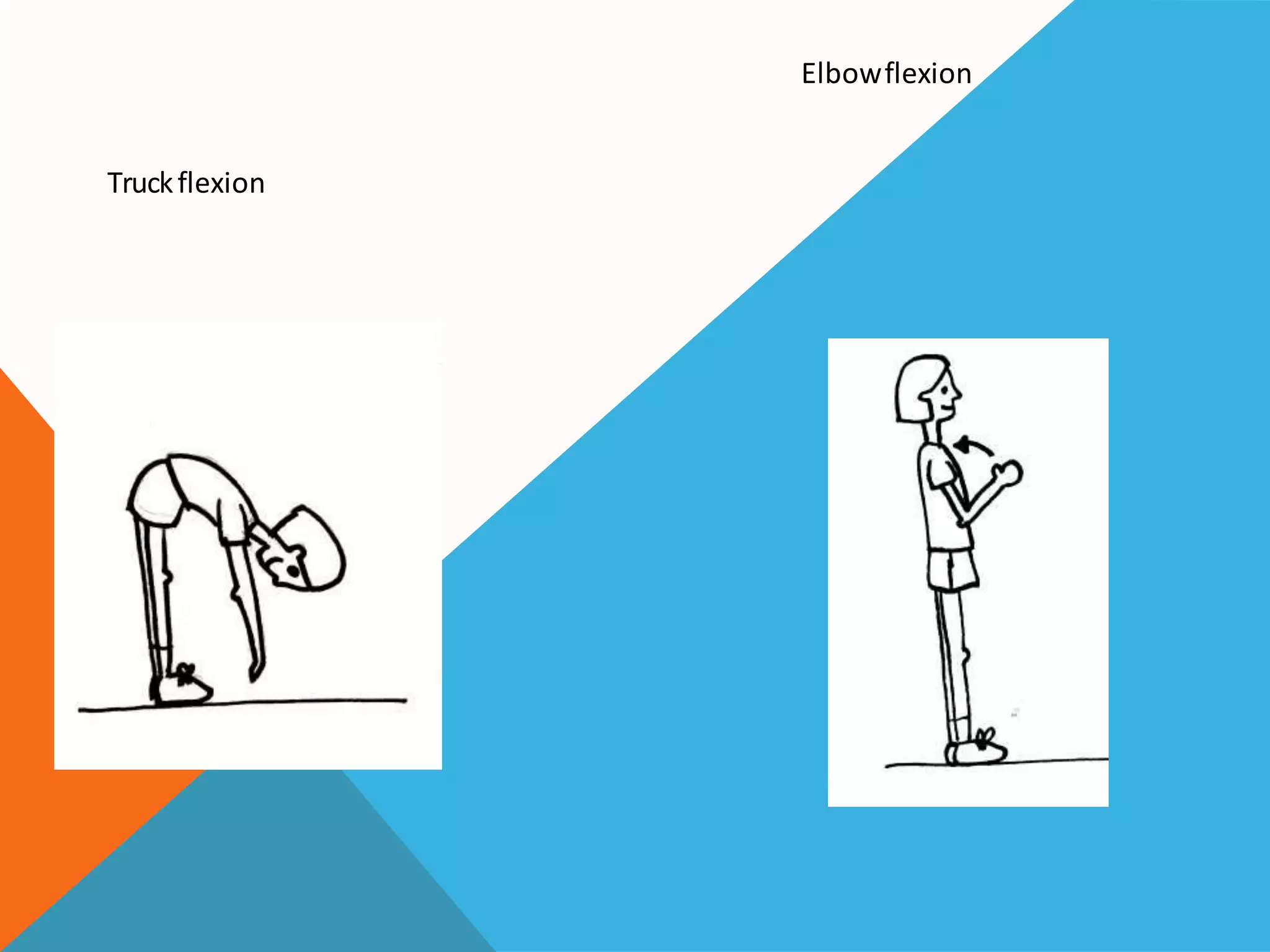 Terminology of movement in anatomy, flexion extension hyperextension ...