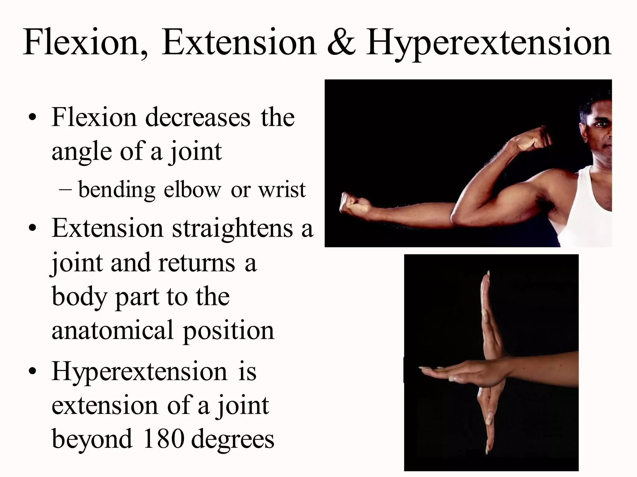 Terminology of movement in anatomy, flexion extension hyperextension