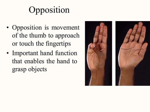 Terminology of movement in anatomy, flexion extension hyperextension ...