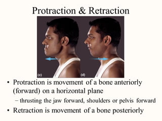 Terminology of movement in anatomy, flexion extension hyperextension ...