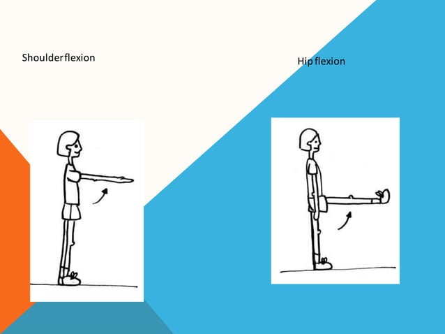 Terminology of movement in anatomy, flexion extension hyperextension ...