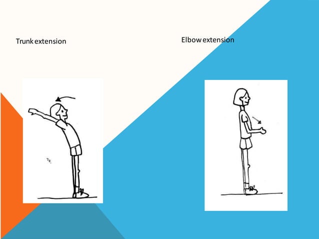 Terminology of movement in anatomy, flexion extension hyperextension ...