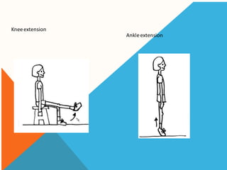 Terminology of movement in anatomy, flexion extension hyperextension ...