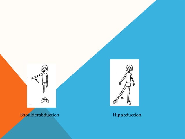 Terminology of movement in anatomy, flexion extension hyperextension ...