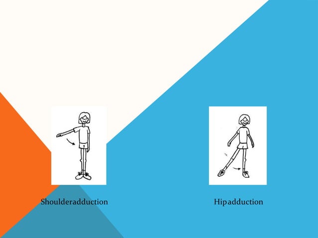 Terminology of movement in anatomy, flexion extension hyperextension ...