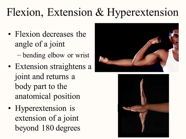 Terminology of movement in anatomy, flexion extension hyperextension ...