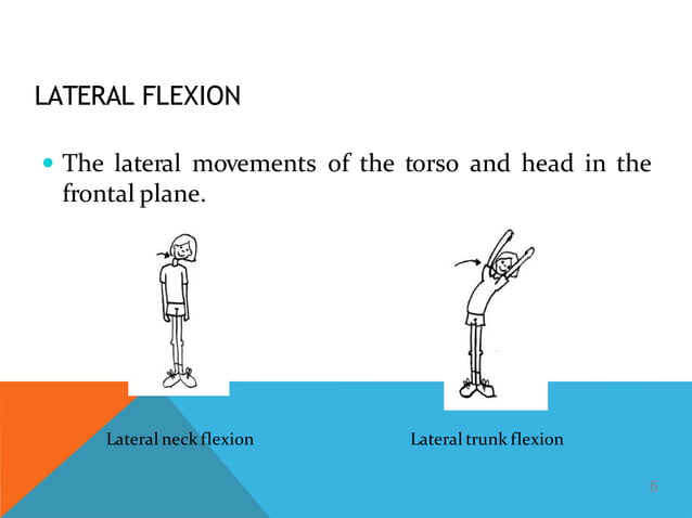 Terminology of movement in anatomy, flexion extension hyperextension ...