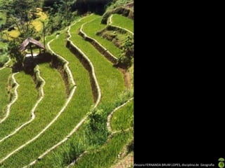 Apresentação elaborada pela Professora FERNANDA BRUM LOPES, disciplina de Geografia
 