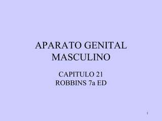 APARATO GENITAL MASCULINO CAPITULO 21 ROBBINS 7a ED 