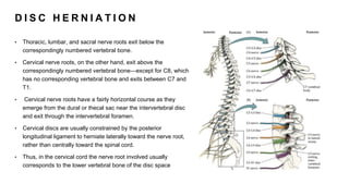 D I S C H E R N I A T I O N
• Thoracic, lumbar, and sacral nerve roots exit below the
correspondingly numbered vertebral bone.
• Cervical nerve roots, on the other hand, exit above the
correspondingly numbered vertebral bone—except for C8, which
has no corresponding vertebral bone and exits between C7 and
T1.
• Cervical nerve roots have a fairly horizontal course as they
emerge from the dural or thecal sac near the intervertebral disc
and exit through the intervertebral foramen.
• Cervical discs are usually constrained by the posterior
longitudinal ligament to herniate laterally toward the nerve root,
rather than centrally toward the spinal cord.
• Thus, in the cervical cord the nerve root involved usually
corresponds to the lower vertebral bone of the disc space
 