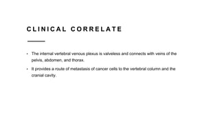 C L I N I C A L C O R R E L A T E
• The internal vertebral venous plexus is valveless and connects with veins of the
pelvis, abdomen, and thorax.
• It provides a route of metastasis of cancer cells to the vertebral column and the
cranial cavity.
 