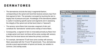 D E R M A T O M E S
• The dermatomes encircle the body in segmental fashion,
corresponding to the spinal cord level that receives sensory input from
that segment of skin. The sensation conveyed by touching the skin is
largely that of pressure and pain. Knowledge of the dermatome pattern
is useful in localizing specific spinal cord segments and in assessing
the integrity of the spinal cord at that level (intact or “lesioned”).
• The sensory nerve fibers that innervate a segment of skin and
constitute the “dermatome” exhibit some overlap of nerve fibers.
• Consequently, a segment of skin is innervated primarily by fibers from
a single spinal cord level, but there will be some overlap with sensory
fibers from the level above and below the primary cord level.
• For example, dermatome T5 will have some overlap with sensory
fibers associated with the T4 and T6 spinal levels. Thus, dermatomes
provide a good approximation of spinal cord levels, but variation is
common, and overlap exists.
 