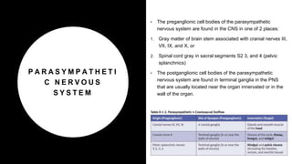 P A R A S Y M P A T H E T I
C N E R V O U S
S Y S T E M
• The preganglionic cell bodies of the parasympathetic
nervous system are found in the CNS in one of 2 places:
1. Gray matter of brain stem associated with cranial nerves III,
VII, IX, and X, or
2. Spinal cord gray in sacral segments S2 3, and 4 (pelvic
splanchnics)
• The postganglionic cell bodies of the parasympathetic
nervous system are found in terminal ganglia in the PNS
that are usually located near the organ innervated or in the
wall of the organ.
 