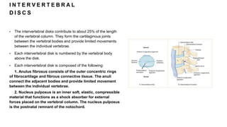 I N T E R V E R T E B R A L
D I S C S
• The intervertebral disks contribute to about 25% of the length
of the vertebral column. They form the cartilaginous joints
between the vertebral bodies and provide limited movements
between the individual vertebrae.
• Each intervertebral disk is numbered by the vertebral body
above the disk.
• Each intervertebral disk is composed of the following:
1. Anulus fibrosus consists of the outer concentric rings
of fibrocartilage and fibrous connective tissue. The anuli
connect the adjacent bodies and provide limited movement
between the individual vertebrae.
2. Nucleus pulposus is an inner soft, elastic, compressible
material that functions as a shock absorber for external
forces placed on the vertebral column. The nucleus pulposus
is the postnatal remnant of the notochord.
 