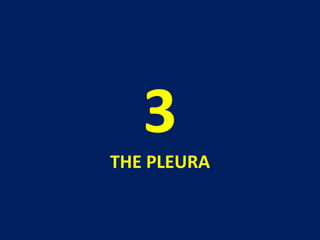 3
THE PLEURA
 