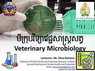 Introduction to Veterinary Microbiology
Rortana CH 2016
មីក្រុបវ ិទ្យាវវជ្ជសាស្រ្ត្ត្វ
Veterinary Microbiology
Lecturers: Mr. Chea Rortana,
National of Animal Health and Production Research Institute
General Directorate of Animal Health and Production
Email: rortanachea@gmail.com
(+855) 92 554 996
 