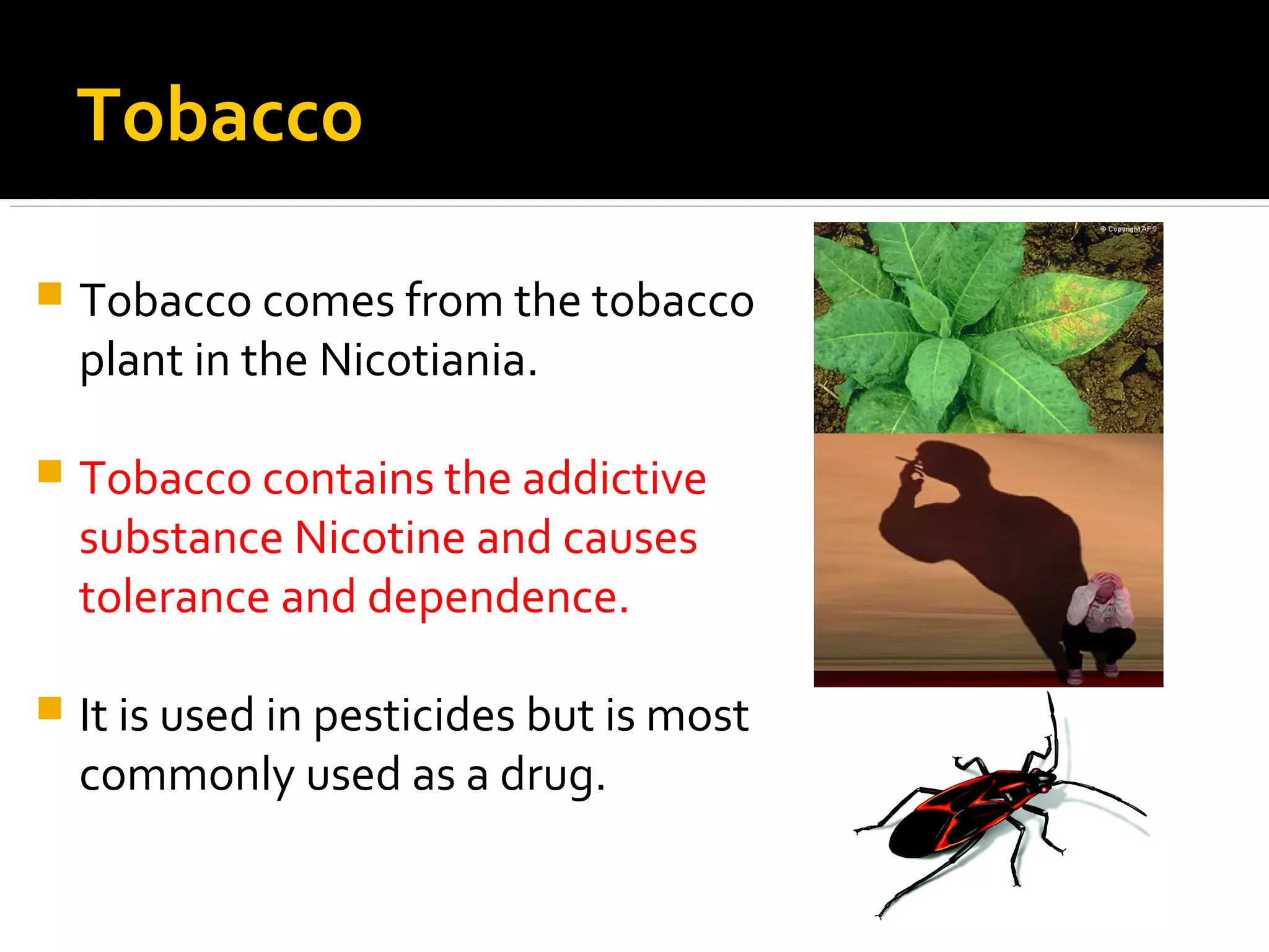 tobacco control strategy Behind every appealing tobacco or nicotine product is a strategy to create  addiction. This World No Tobacco Day, EMPHNET calls for stronger regional  action to protect young people, support quitting, and advance