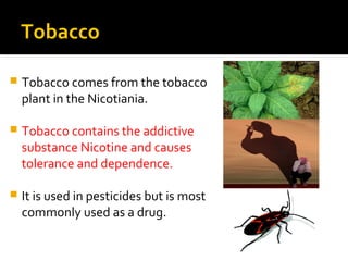 Tobacco


Tobacco comes from the tobacco
plant in the Nicotiania.



Tobacco contains the addictive
substance Nicotine and causes
tolerance and dependence.



It is used in pesticides but is most
commonly used as a drug.

 