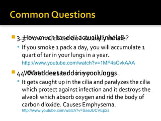  3.3. How much tar doactually inhale?
How much tar do I I actually inhale?
 If you smoke 1 pack a day, you will accumulate 1

quart of tar in your lungs in a year.
http://www.youtube.com/watch?v=1MF4sCvkAAA

 4. What does tar do in your lungs.
4. What does tar do in your lungs.
 It gets caught up in the cilia and paralyzes the cilia

which protect against infection and it destroys the
alveoli which absorb oxygen and rid the body of
carbon dioxide. Causes Emphysema.
http://www.youtube.com/watch?v=SaeJUCVEp2s

 