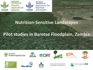 Nutrition-Sensitive Landscapes
Pilot studies in Barotse Floodplain, Zambia
 