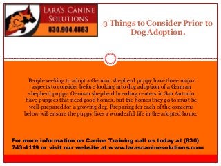 3 Things to Consider Prior to
Dog Adoption.
For more information on Canine Training call us today at (830)
743-4119 or visit our website at www.larascaninesolutions.com
People seeking to adopt a German shepherd puppy have three major
aspects to consider before looking into dog adoption of a German
shepherd puppy. German shepherd breeding centers in San Antonio
have puppies that need good homes, but the homes they go to must be
well-prepared for a growing dog. Preparing for each of the concerns
below will ensure the puppy lives a wonderful life in the adopted home.
 