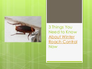 3 Things You
Need to Know
About Winter
Roach Control
Now
 