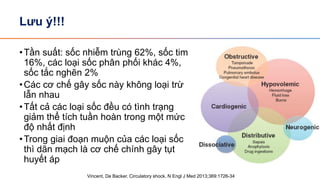 Tiếp cận BN sốc | PDF