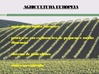 AGRICULTURA EUROPEIA



agricultura muito intensiva



pratica-se em explorações de pequena e média
dimensão



sistema de policultura



muito mecanizada

 