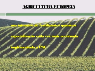 AGRICULTURA EUROPEIA



uso intensivo de fertilizantes químicos



especialização cada vez mais acentuada



implementada a PAC

 