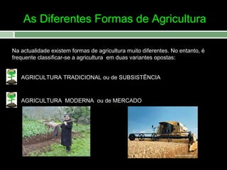 As Diferentes Formas de Agricultura
Na actualidade existem formas de agricultura muito diferentes. No entanto, é
frequente classificar-se a agricultura em duas variantes opostas:
AGRICULTURA TRADICIONAL ou de SUBSISTÊNCIA

AGRICULTURA MODERNA ou de MERCADO

 