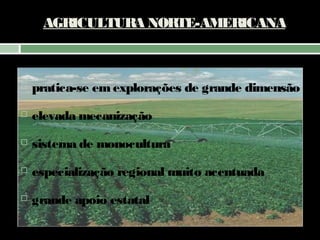 AGRICULTURA NORTE-AMERICANA



pratica-se em explorações de grande dimensão



elevada mecanização



sistema de monocultura



especialização regional muito acentuada



grande apoio estatal

 