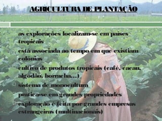 AGRICULTURA DE PLANTAÇÃO










as explorações localizam-se em países
tropicais
está associada ao tempo em que existiam
colónias
cultivo de produtos tropicais (café, cacau,
algodão, borracha…)
sistema de monocultura
pratica-se em grandes propriedades
exploração é feita por grandes empresas
estrangeiras (multinacionais)

 