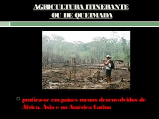 AGRICULTURA ITINERANTE
OU DE QUEIMADA



pratica-se em países menos desenvolvidos de
África, Ásia e na América Latina

 