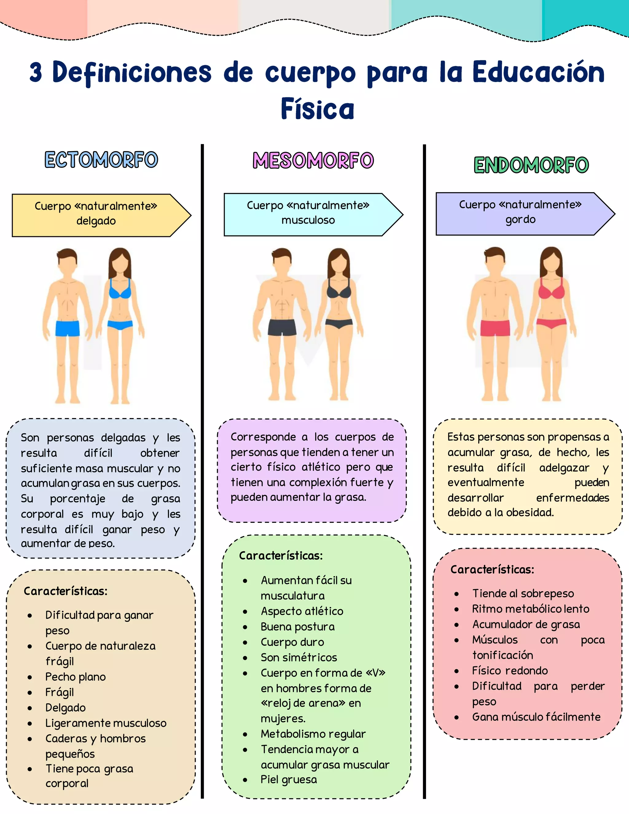 Tipos de 