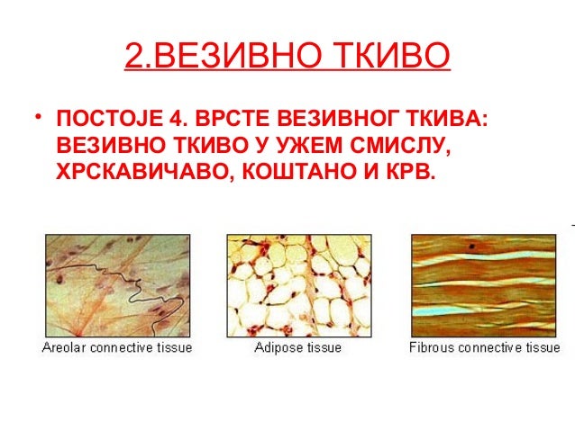 а3 Tkiva