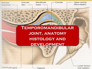 Temporomandibular
joint, anatomy
histology and
development
 